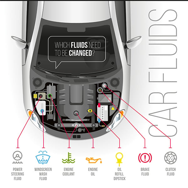 6 Vital Fluids Every Car Owner Should Know About | LexBrodies